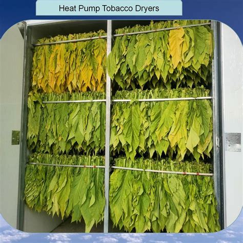 Nuts Dehumidifying Fruit Vegetable Food Leaves Drying Machine Herbs Spices Dehydrator Chamber