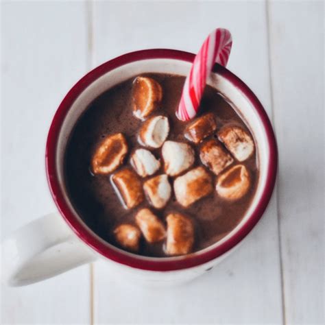 DIY Vegan Hot Cocoa Mix - Wallflower Kitchen