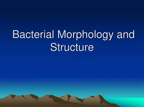 Ppt Bacterial Morphology And Structure Powerpoint Presentation Free