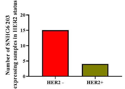 The number of HER2 negative and HER2 positives patients who presented... | Download Scientific ...