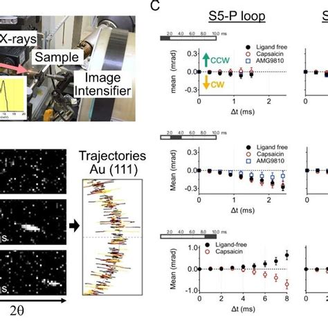 Diffracted X Ray Tracking Dxt Measurement Of Ligand Induced Rotation