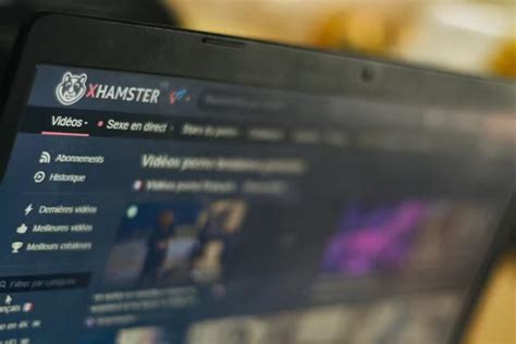 Paris court blocks pornographic websites: the case of xHamster