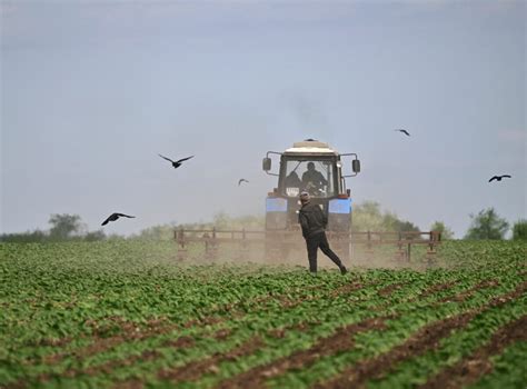 Global Food Crisis Fears Grow That Russian Blockade May Unleash Famine