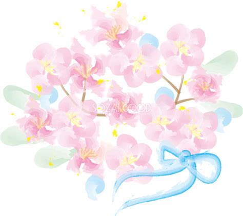 かわいい桜 春の花びらイラスト 水彩画 39580 素材good