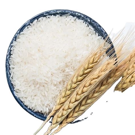 Hot Sale Premium Grade White Rice Thai White Rice White Rice