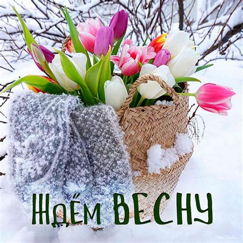 Картинки с надписью жду весну
