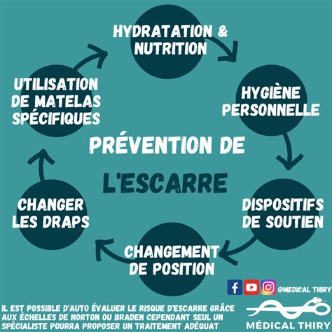 Traiter et prévenir les taches noires des rosiers mythes et astuces