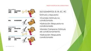 Bases Del Conductismo PPT