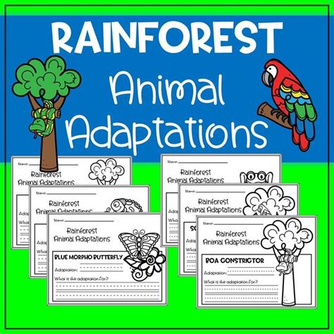 Rainforest Animal Adaptations Writing Activity | Animal adaptations ...