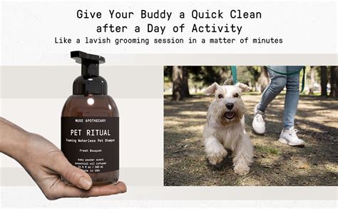 Muse Apothecary Pet Ritual Foaming Waterless Shampoo For