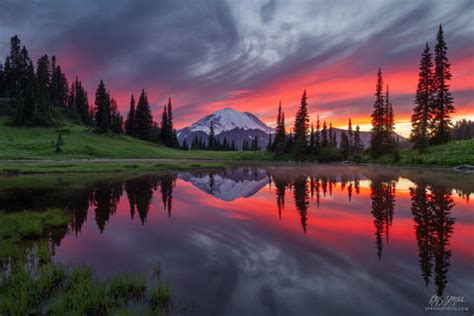 Tipsoo Lake Pink Sunset | Mount Rainier National Park, Washington ...