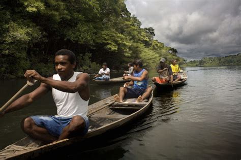 Amazon Forest Ecotourism Xixuau Brazil