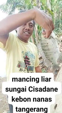 Mancing Mujaer Liar Sungai Cisadane Kebon Nanas Tangerang Gg Rajawali