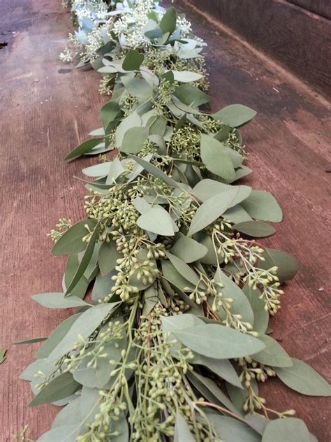 Freshly Harvested Seeded Eucalyptus Garland