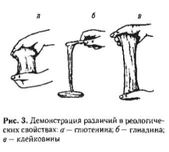 Клейковина и сила пшеничной муки - технологии АстраХлеб