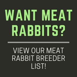 The Best Rabbit Tractor For Homesteaders Homestead Rabbits