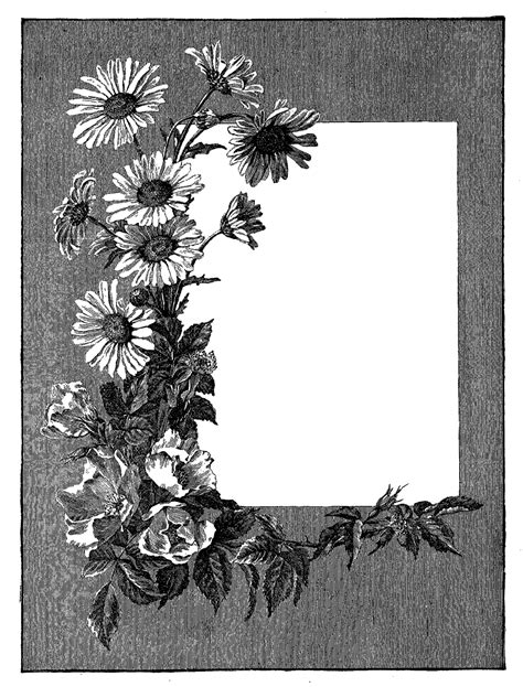 Gray Flower Frame Photos Transparent Hq Png Download Freepngimg