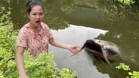 Encontrei Bagres Gigantes Em Um Lago Abandonado Youtube