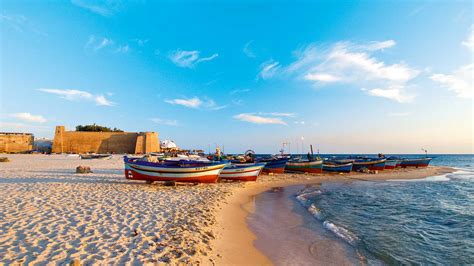 Best Things To Do In Hammamet Full Guide To Hammamet Tui Blue Blog