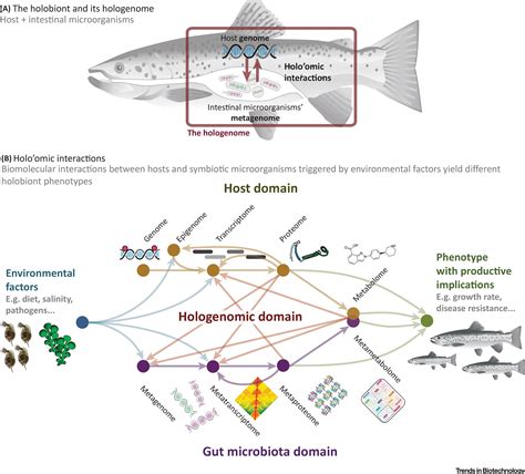 Applied Hologenomics Feasibility And Potential In Aquaculture Trends