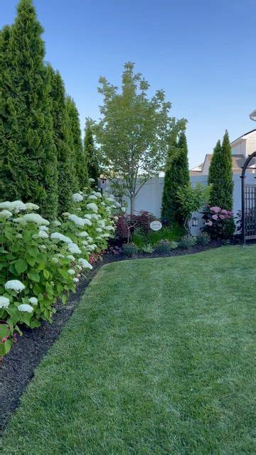 A Garden With Green Grass And White Flowers