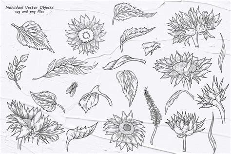 Sonnenblume SVG Clipart Frühling Umriss Vektor Clipart Blumen svg