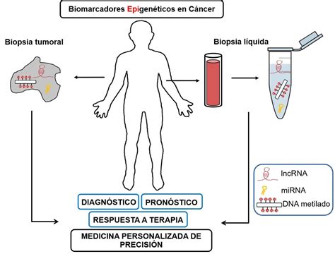 Biomarcadores epigenéticos en cáncer un pilar de la oncología de