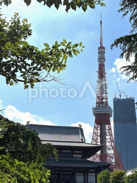 東京タワーと増上寺 No 27792866｜写真素材なら「写真ac」無料（フリー）ダウンロードok