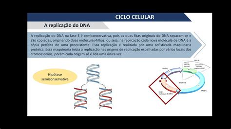 Aula complementar Patologia Regeneração ciclo celular mitose e