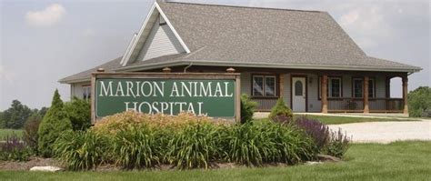 MARION ANIMAL HOSPITAL - Updated January 2025 - 2831 Marion Waldo Rd ...