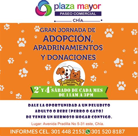 Jornada De Adopcion Plaza Mayor Centro Comercial