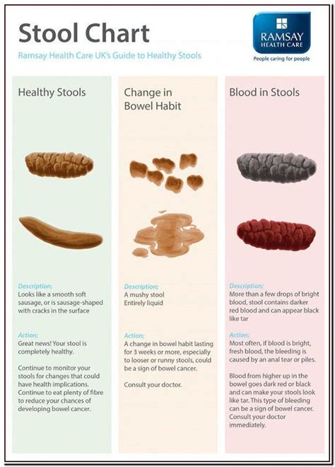 What Does Fat Look Like In Your Stool - What Does