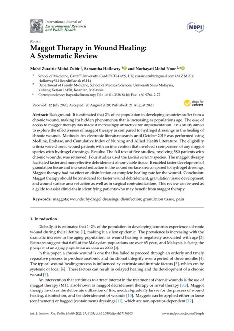 (PDF) Maggot Therapy in Wound Healing: A Systematic Review