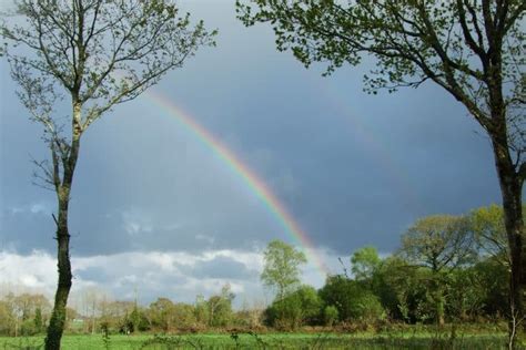 Rainbow Symbolism (8 Meanings) - Pride, Hope & Dreams