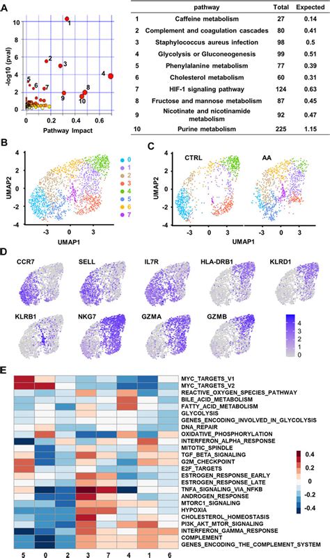 Frontiers Multi Omics Profiling Identifies Pathways Associated With