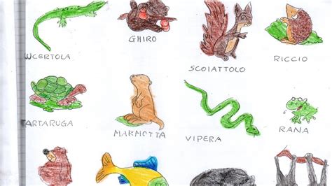 Piante E Foglie Scienze Classe 2 MaestraMonica