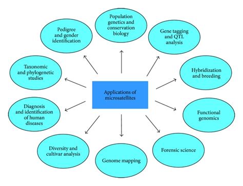 Application Of Microsatellite Markers In Conservation Genetics And