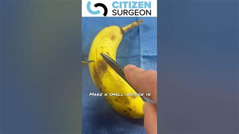 suture  bananas   perfect youtube