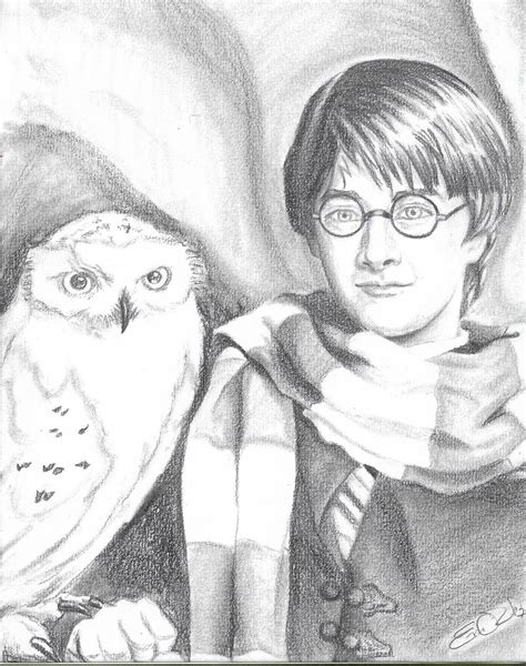 Harry Potter And Hedwig Harry Potter Hedwig Harry Potter Male Sketch