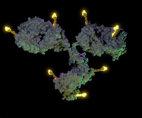 101亿美元！艾伯维收购immunogen医药新闻 Bydrug 一站式医药资源共享中心 医药魔方