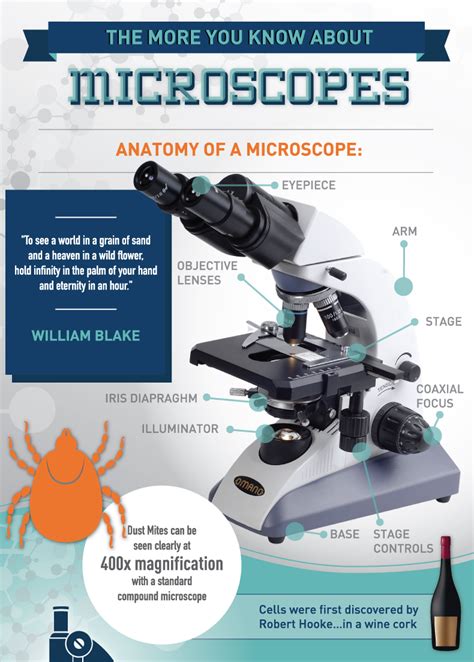 Microscope.com Publishes Innovative Microscope Infographic