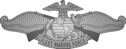 Fleet Marine Force — Wikipédia