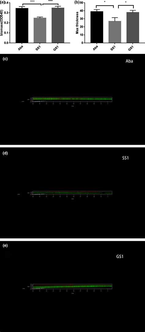 A Analysis Of Biofilm Formation Ability Via Crystal Violet Staining Download Scientific