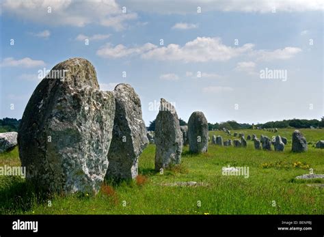 Standing stones in the Ménec alignment at Carnac, Morbihan, Brittany ...