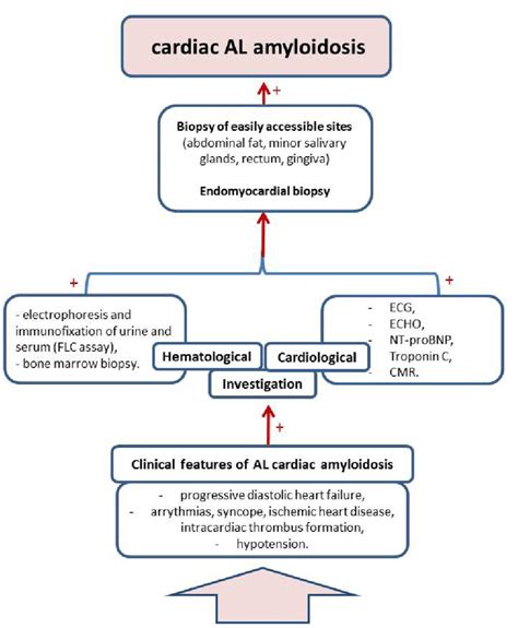 How To Diagnose Amyloidosis Electricitytax