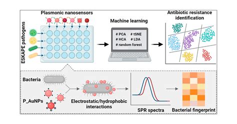 Identification Of Antibiotic Resistance In ESKAPE Pathogens Through