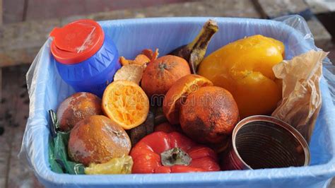 Desperdicio De Alimentos En Los Hogares Frutas Y Verduras Podridas