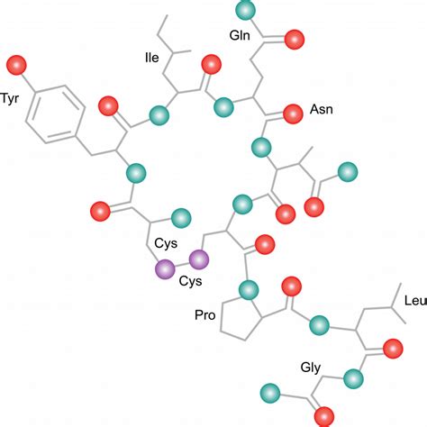 5 6 What Are Proteins The Evolution And Biology Of Sex