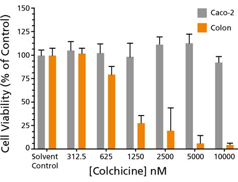 Intestinal Organoid Assays With Contract Assay Services