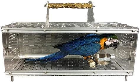 10 Best Macaw Bird Travel Cages For Safe And Comfortable Journey